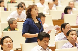 Quốc hội thảo luận về Luật hàng không dân dụng Việt Nam